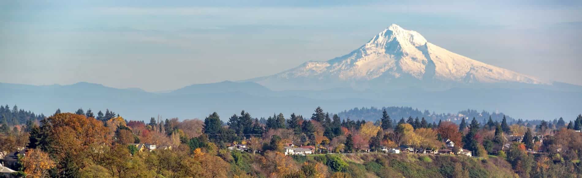 View of Mt. Hood with homes in the foreground, representing Healthy Home services across Portland Metro and Central Oregon